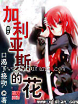 加利亚斯的花小说