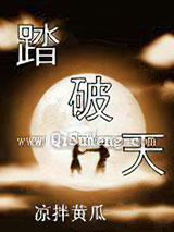 踏破天小说
