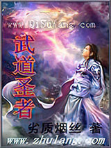 武道圣者小说