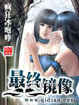 最终镜像小说