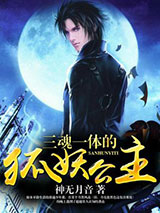 三魂一体的狐妖公主小说