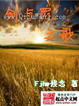 剑与罚之歌小说