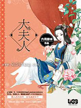 大夫人小说