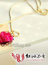 都市万兽王小说