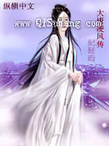 大唐凌风传小说