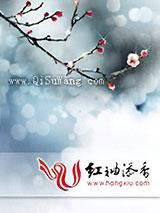 天娇谱小说
