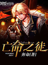 我的佣兵生涯小说