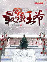 大宋最强王爷小说