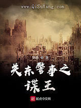 关东警事之谍王小说