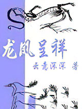 三国之龙凤呈祥小说