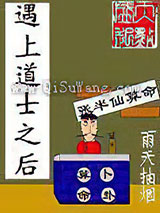 遇上道士之后小说