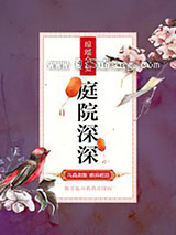 庭院深深小说