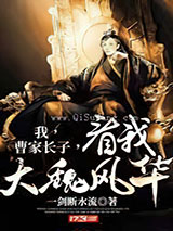 我，曹家长子，看我大魏风华！小说