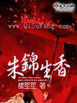 别拿穿越不当工作小说