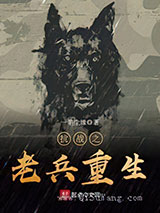 抗战之老兵重生小说