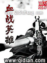 血战英雄小说