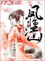 凤临江山小说