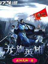 龙旗英雄小说