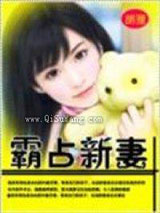霸占新妻小说