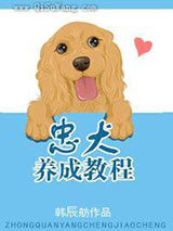忠犬养成教程小说
