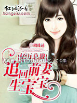 亿万总裁：追回前妻生宝宝！小说