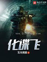 化谍飞小说