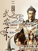 三国之武安天下小说