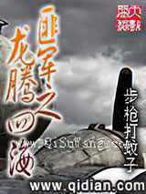 匪军之龙腾四海小说