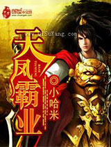 天凤霸业小说