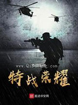 特战荣耀小说