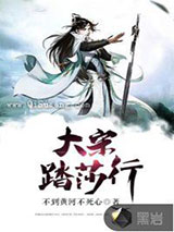 大宋踏莎行小说