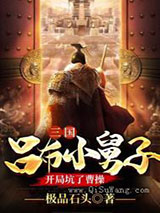 三国：吕布小舅子，开局坑了曹操小说
