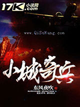 小城奇兵小说