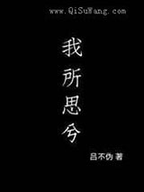 我所思兮小说