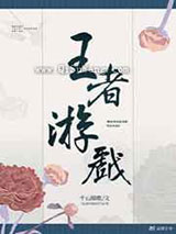 王者游戏小说