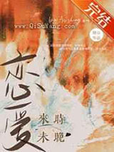 恋爱来时未晚小说