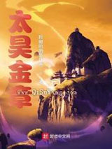 太昊金章小说