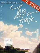 夏日烟火小说