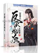 穿越之反派炮灰小说