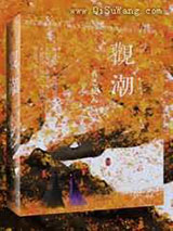 作为一名神助攻小说