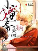 小皇帝今天病好了吗小说