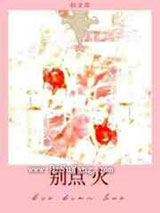 别点火小说