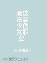 喂魔法少女这高危职业小说