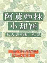 阿莫西林小甜饼小说