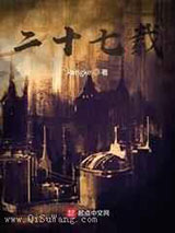 二十七载小说