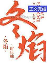 冬焰小说