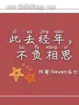 此去经年，不负相思小说