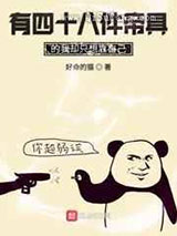 有四十八件帝具的我却只想靠自己小说