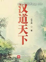 汉道天下小说