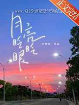 月亮眨眨眼小说
